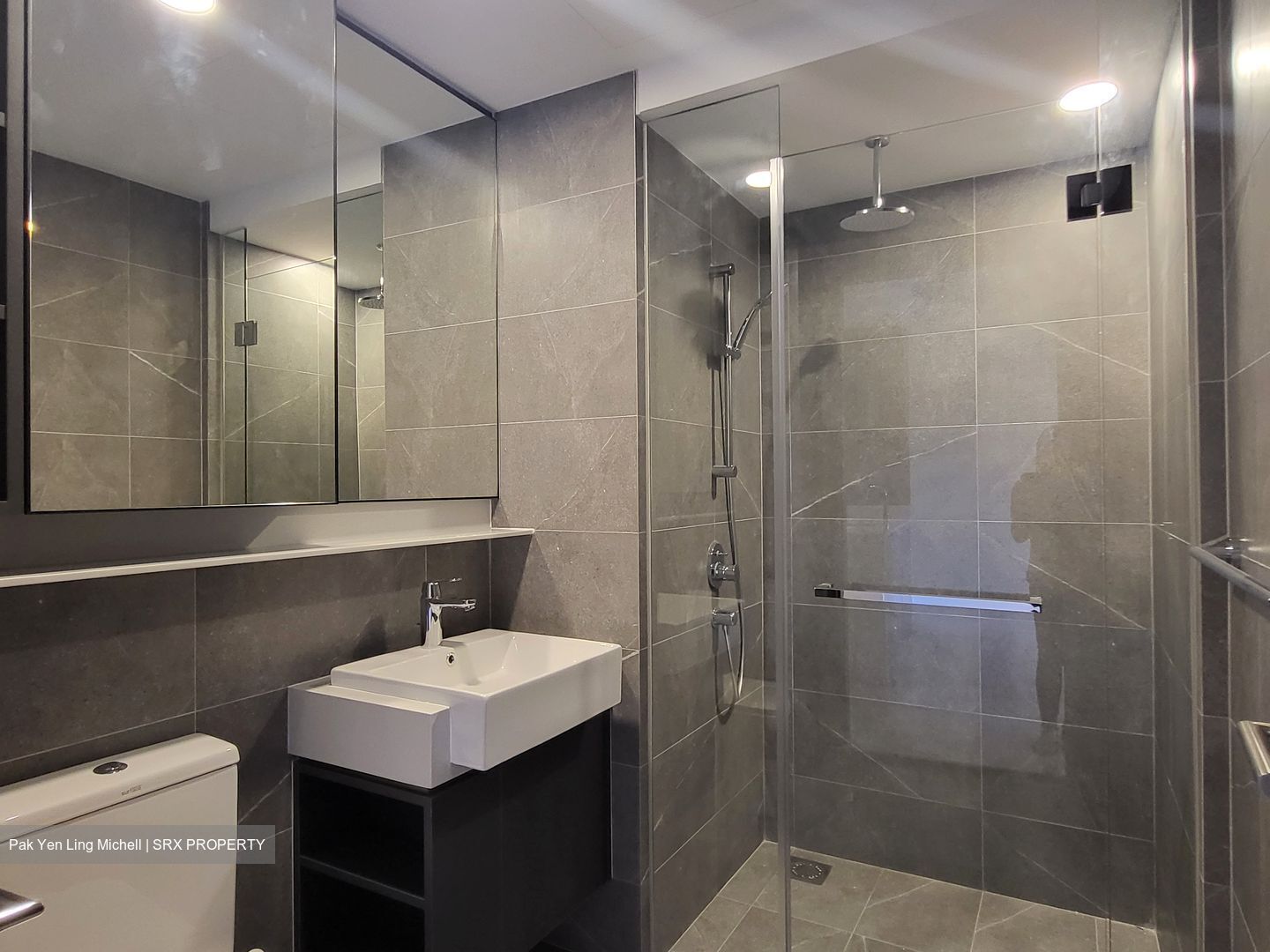 La Fiesta (D19), Condominium #588866131